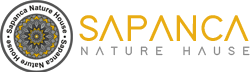 Sapanca Naturel House